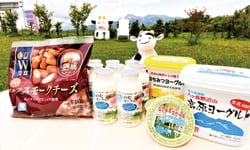 ヤツレン乳製品詰め合わせの写真