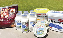 ヤツレン乳製品詰め合わせ