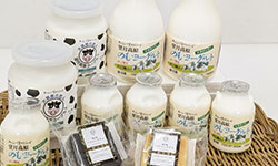 望月高原ヨーグルト製品詰め合わせ