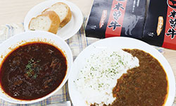 木曽牛キーマカレー＆ビーフシチューセット（レトルト）