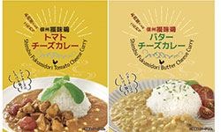 信州福味鶏カレー